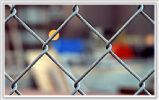 Chain Link Fence